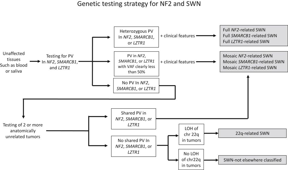 Updated diagnostic criteria and nomenclature for neurofibromatosis type 2 and schwannomatosis: An international consensus recommendation #lztr1 #NF2 #Neurofibromatosis #Schwannomatosis #SMARCB1 
gimjournal.org/article/S1098-…