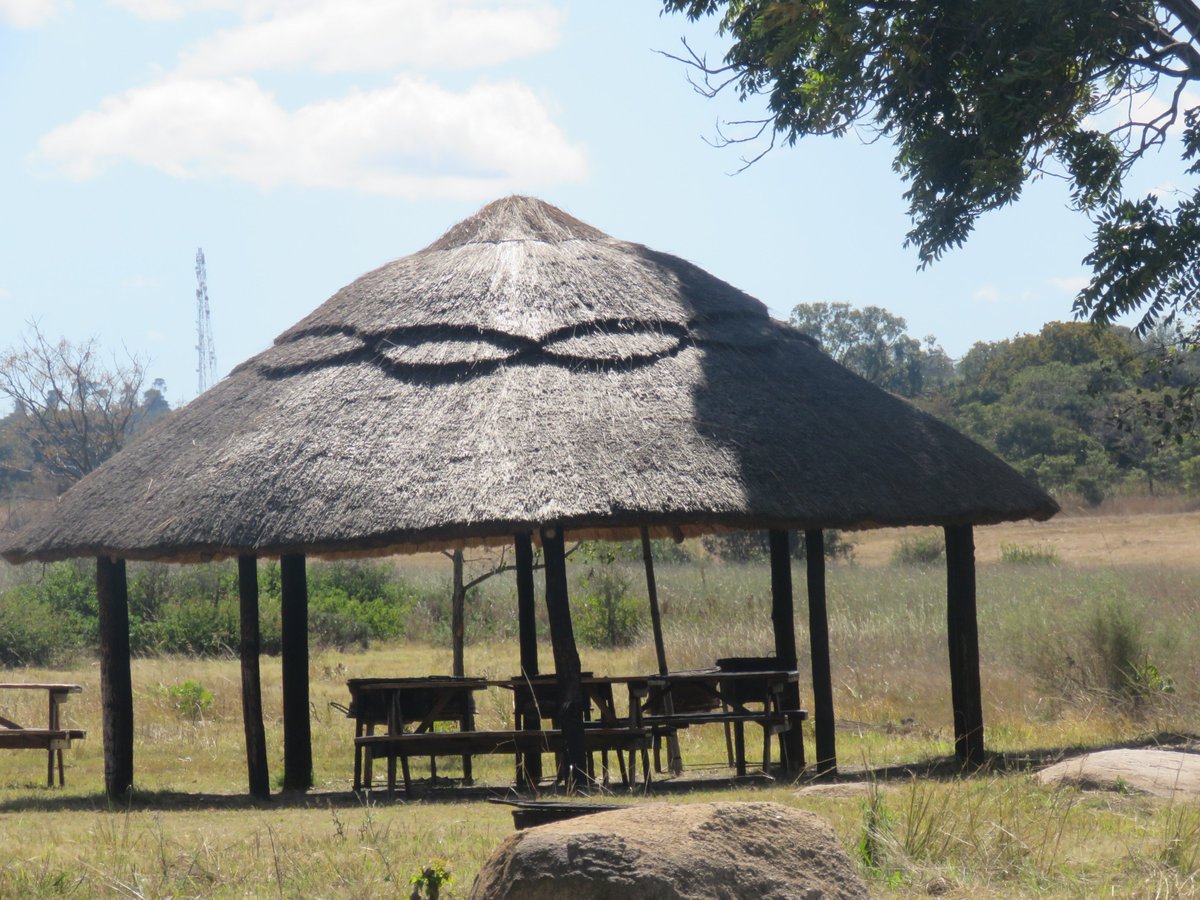 HARARE PUBLICITY tweet media