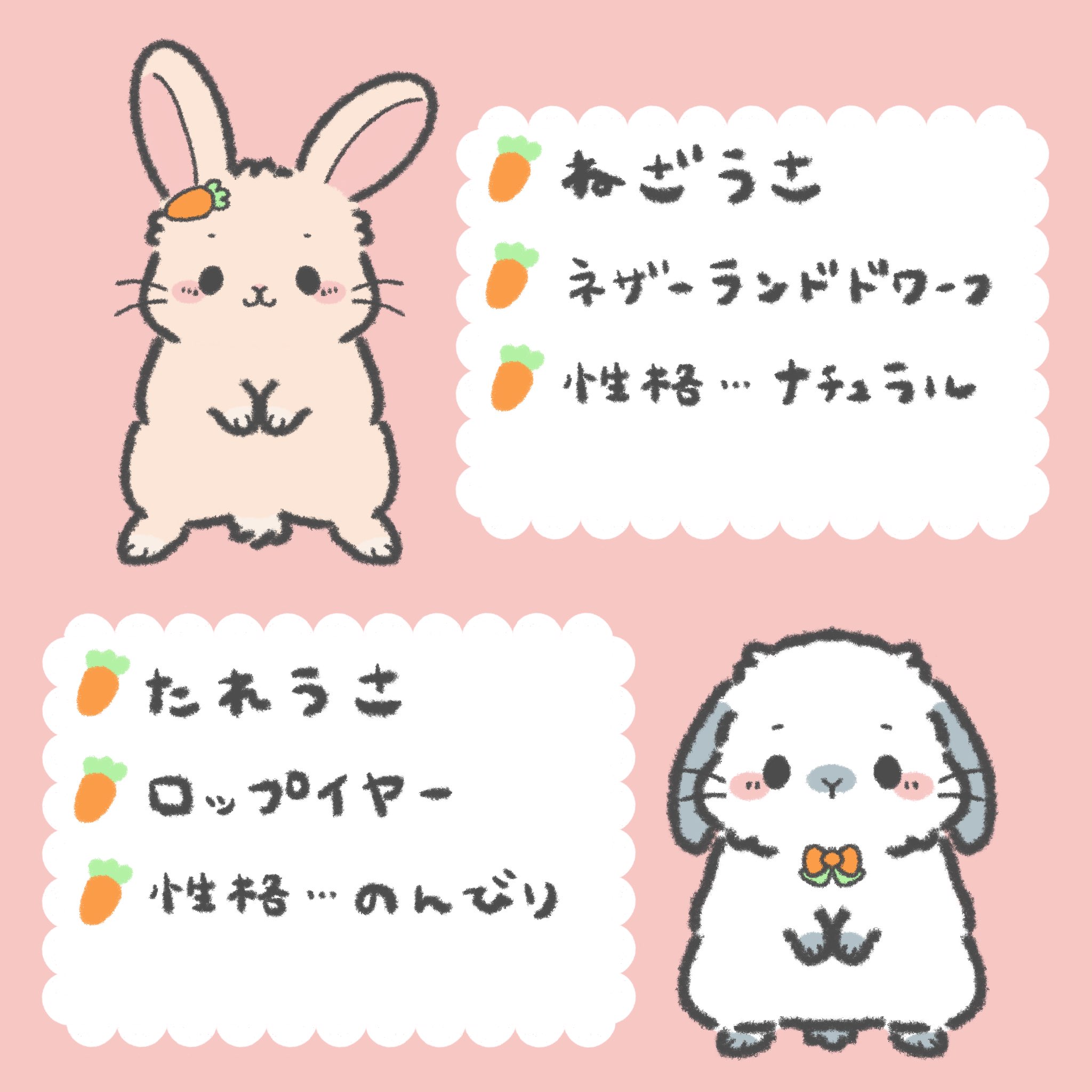 Maruru 自己紹介その1 よろしくね この子たちをline絵文字にする予定です うさぎ ネザーランドドワーフ ロップイヤー うさぎイラスト Bunny Rabbit Line絵文字 T Co Yiaa4jutoo Twitter