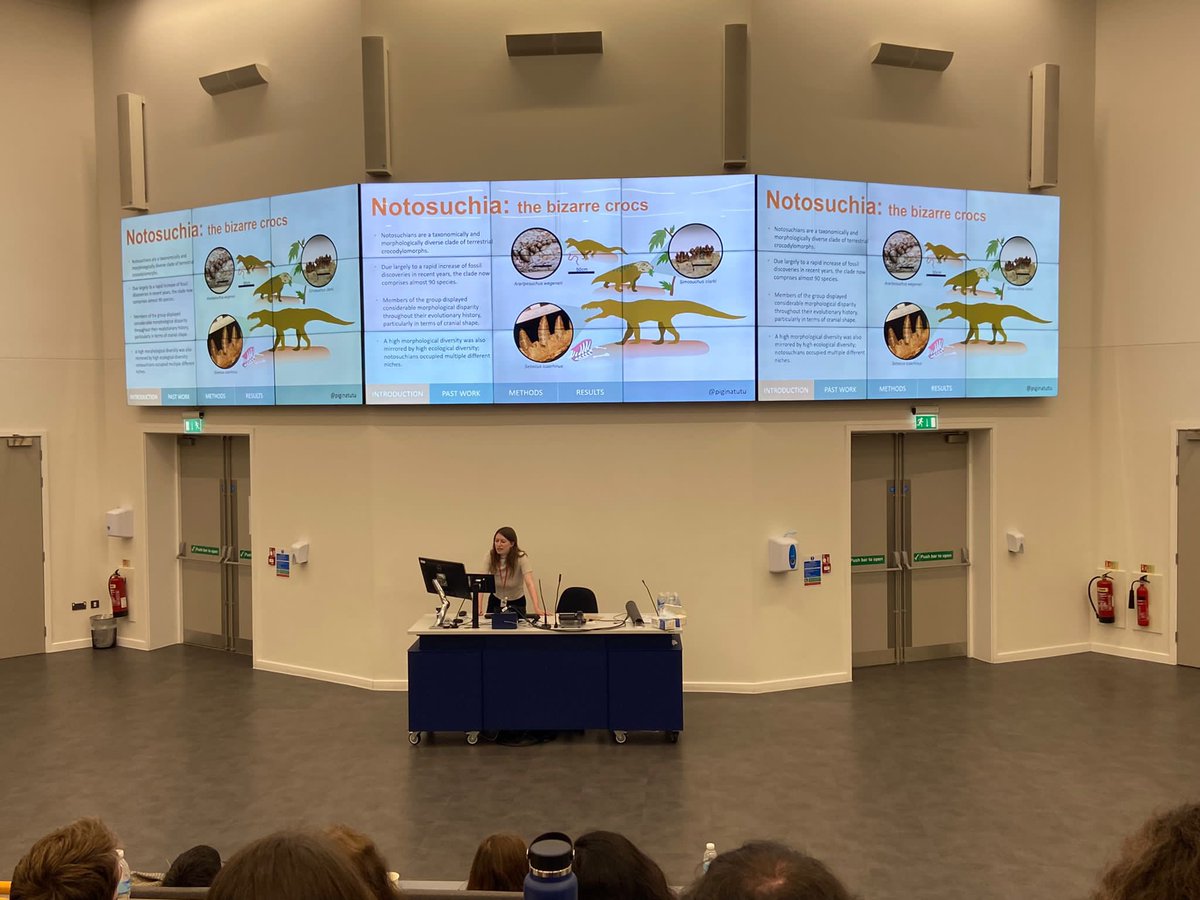 piginatutu's tweet image. Back from a wonderful couple of days at @ProgPal2022 where I got to chat about the evolution of notosuchian crocodylomorphs. Huge thank you to all of the organisers and everybody else involved for making this such a lovely event 🐊🦴