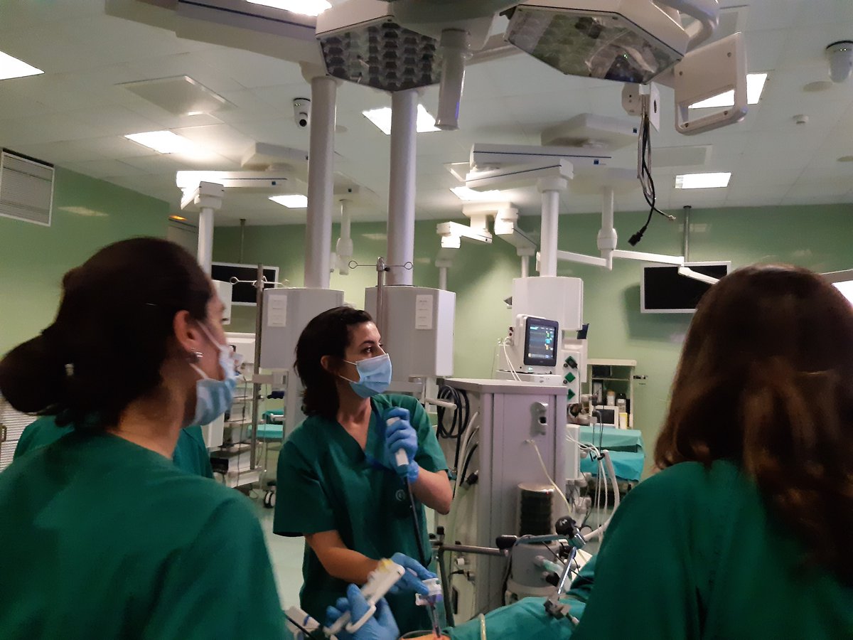 👉Desde el día 15 tenemos en el <a href="/ccmijesususon/">CCMIJU - JUMISC</a> el #Curso de #Cirugía #Bariátrica #Experimental.

✅Tres días muy intensos en los que tenemos que agradecer a <a href="/obesidadSECO/">Sociedad Española de Cirugía de la Obesidad</a>, <a href="/aec_obesidad/">AEC-SECO</a>, <a href="/BalibreaJose/">Jose M. Balibrea MD, PhD, FACS</a>, <a href="/Obesidadalmeria/">Obesidad Almería</a> y <a href="/esteralmenta/">Ester Martin Garcia-Almenta</a> su profesionalidad y buen hacer.