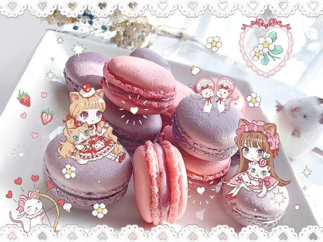 木之本桜 「【お知らせ】LINEcameraスタンプがリリースされました。今回は赤とピンクの」|城咲ロンドンのイラスト