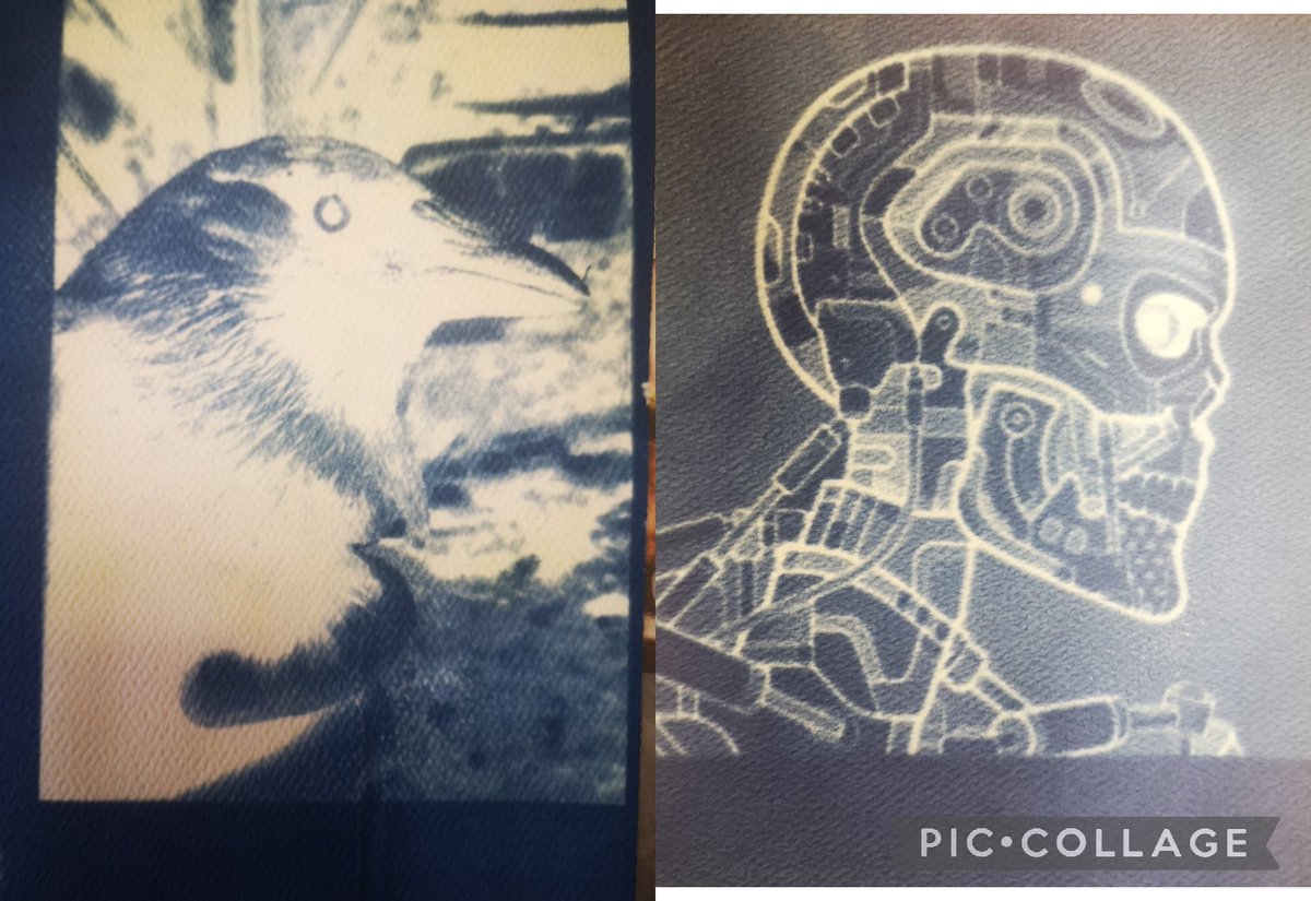 MissGRoach1's tweet photo. Year 9 taking full advantage of the sun this morning and created some beautiful cyanotype!! #cyanotypes #maesteg #maestegschool #stunningwork #herecomesthesun #lookslikesummer https://t.co/AxWAx270UV