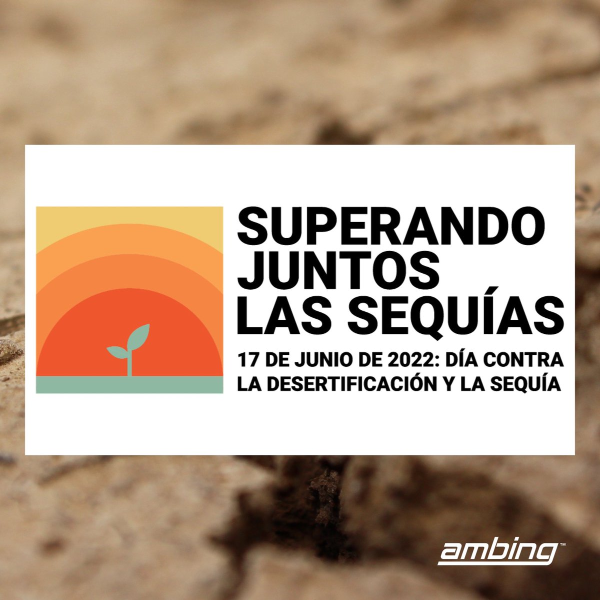 GrupoAmbing's tweet photo. Las sequías se cuentan entre los desastres naturales más destructivos en términos del número de vidas que se cobran, debido a sus efectos: malas cosechas, incendios forestales, estrés hídrico, entre otros.
#Ambing #Ambiente #Ingeniería #AcciónClimática #CarbonoNeutral https://t.co/SLRlZsyyYu