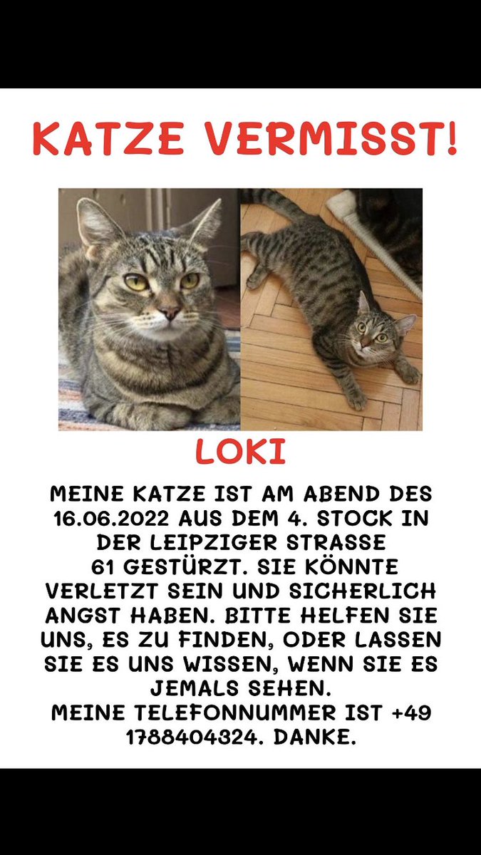 Ragazzi potete per favore retwittare/ricondividere? Una delle gatte di mio fratello in Germania a Francoforte ieri sera è caduta dalla finestra stiamo facendo dei volantini ma vorrei spargere la notizia anche sui social. #frankfurt #selbstmord #Eurovision #help