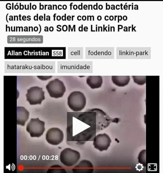 biologia_braba's tweet photo. ao som de linkin park KKKKKKK https://t.co/GNrDoxCMNb