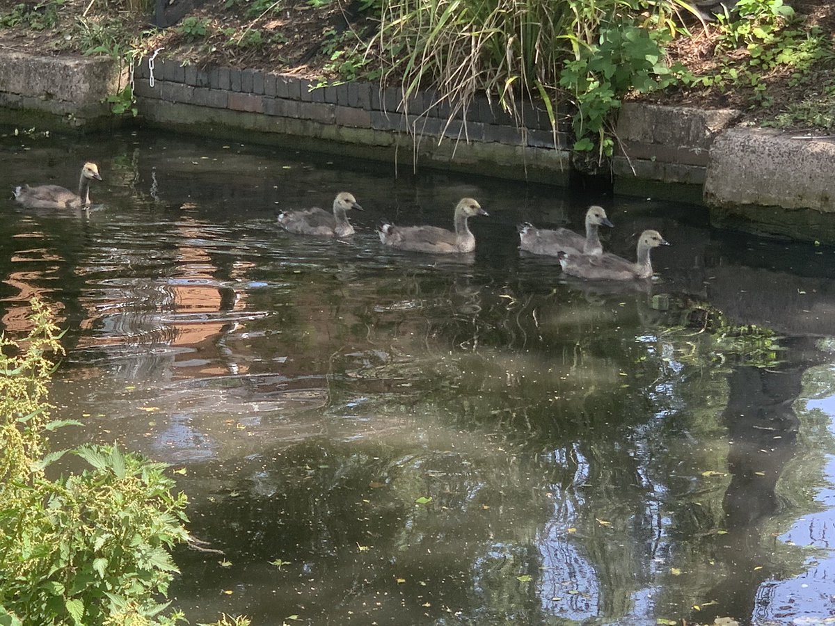 smallbone_cars's tweet photo. Birmingham has such a fantastic canal network we’re spoilt. We’ve been on our bikes exploring the wonderful sights and are now enjoying a cheeky pint or two. I’m back in the office tomorrow. Enjoy the rest of your day folks! https://t.co/WvANstM2YB