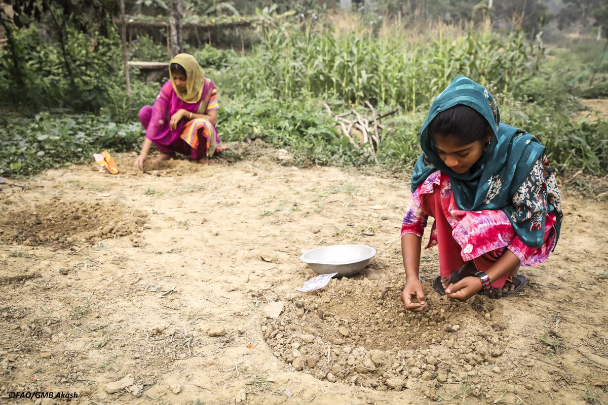 APAARI (@apaari) on Twitter photo #SaveTheDate
🗓️21 June '22 ⏰11:30 Bangkok time
<a href="/FAO/">Food and Agriculture Organization</a> <a href="/APIRASnetwork/">Asia-Pacific Islands Rural Advisory Services</a> <a href="/APAARI/">APAARI</a> webinar:
Strengthening capacities of agricultural #research and #extension organizations to support #agriculture #innovation in #AsiaPacific 🌏
fao.org/3/cc0493en/cc0…
#AgInnovation
#EUfunds🇪🇺
#TAP_AIS #SaveTheDate
🗓️21 June '22 ⏰11:30 Bangkok time
<a href="/FAO/">Food and Agriculture Organization</a> <a href="/APIRASnetwork/">Asia-Pacific Islands Rural Advisory Services</a> <a href="/APAARI/">APAARI</a> webinar:
Strengthening capacities of agricultural #research and #extension organizations to support #agriculture #innovation in #AsiaPacific 🌏
fao.org/3/cc0493en/cc0…
#AgInnovation
#EUfunds🇪🇺
#TAP_AIS