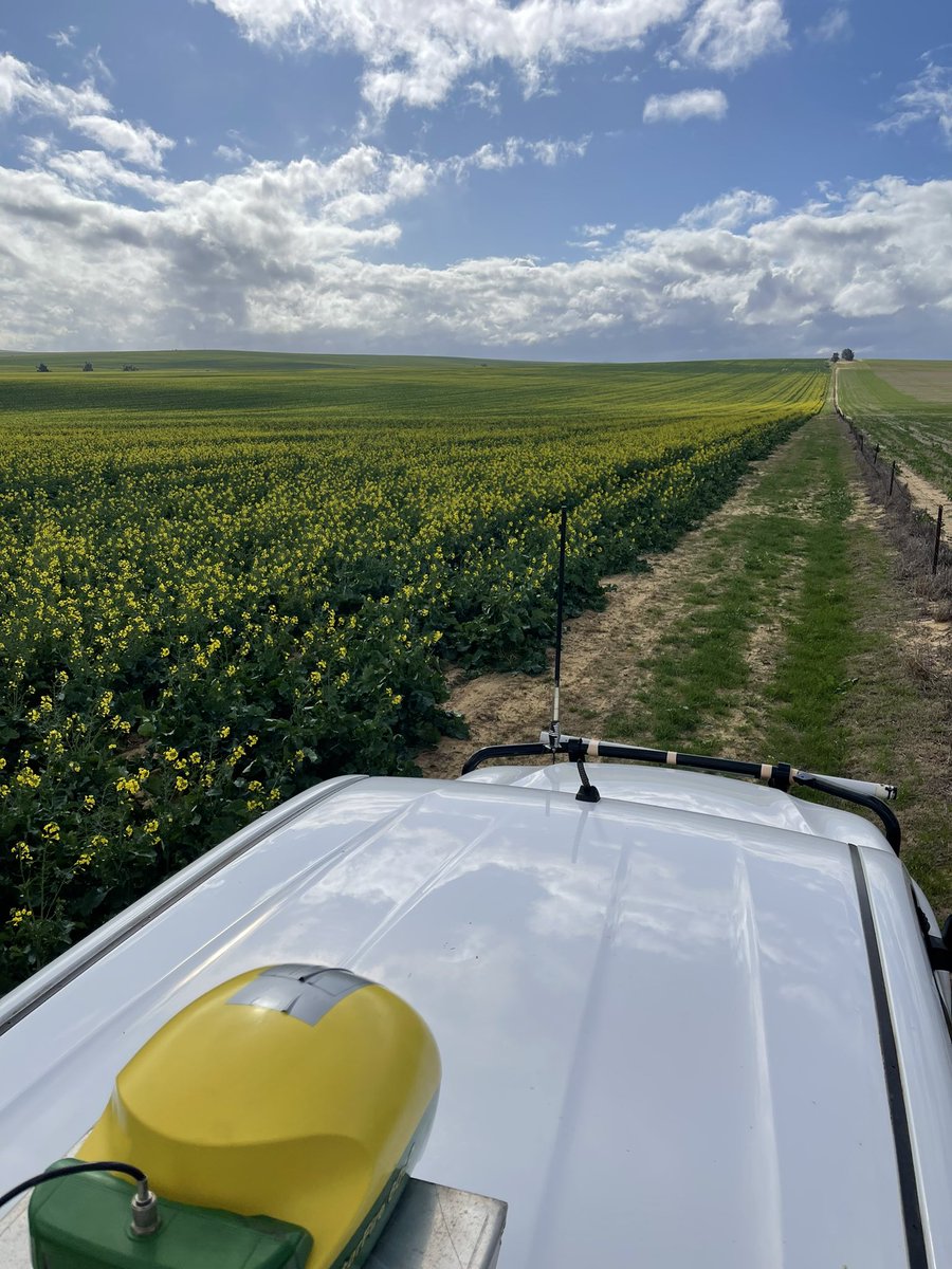 Last of the boundary mapping firebreak tidy ups at Depot Hill- working off a couple years of 4640 screen hire. Cheers <a href="/worma93/">Andrew Cosgrove</a> <a href="/cosfarming/">Geoff Cosgrove 🎗🇦🇺</a> tried my best to tweet the best bits