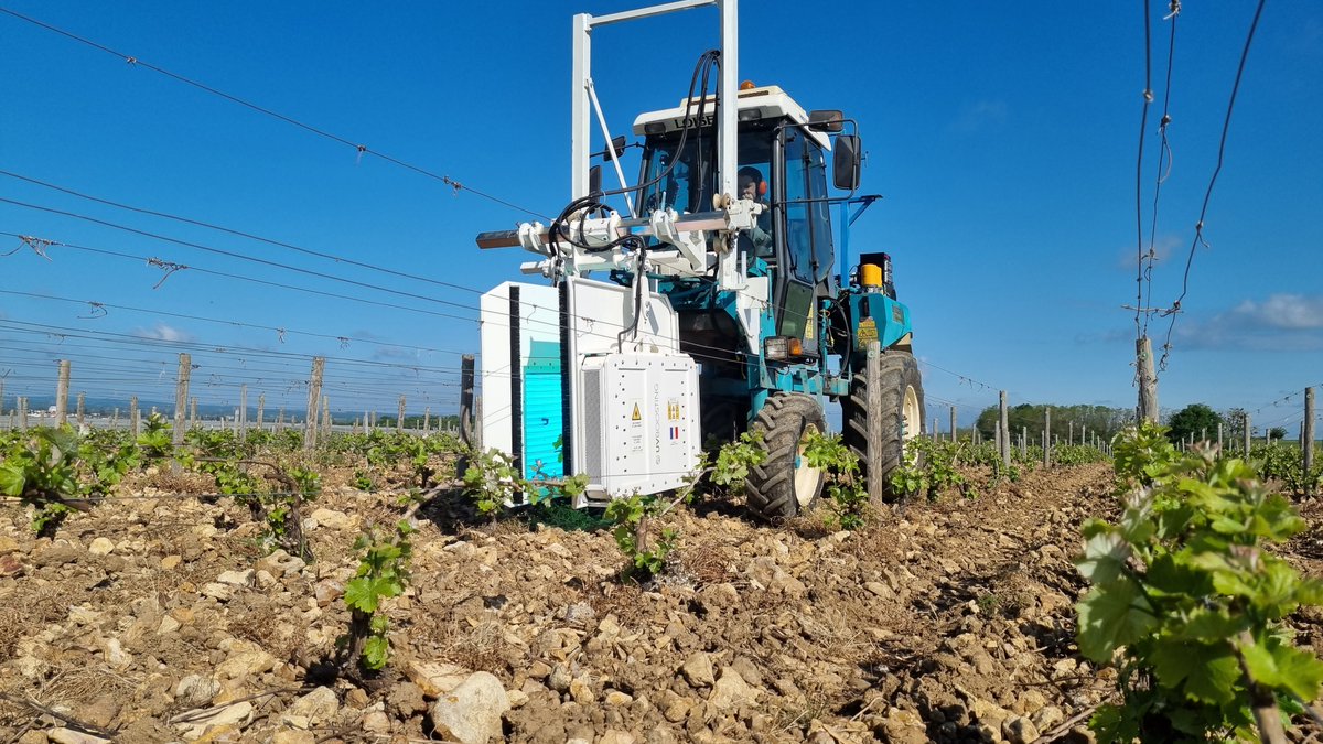 uvboosting's tweet photo. ☀️ Il y a quelques semaines, la #SICAVAC, organisme technique interprofessionnel des #vignobles de la @RCValdeLoire, commençait à stimuler ses #vignes grâce à nos équipements @uvboosting & au concessionnaire #Alabeurthe ⚡️ #stimulation #viticulture #sancerre Quelques photos 👇 https://t.co/SN6dhUSv6O