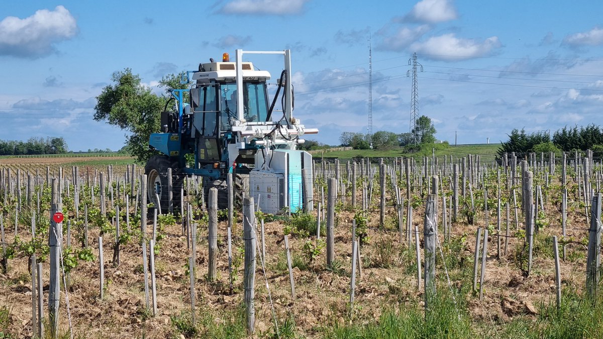 uvboosting's tweet photo. ☀️ Il y a quelques semaines, la #SICAVAC, organisme technique interprofessionnel des #vignobles de la @RCValdeLoire, commençait à stimuler ses #vignes grâce à nos équipements @uvboosting & au concessionnaire #Alabeurthe ⚡️ #stimulation #viticulture #sancerre Quelques photos 👇 https://t.co/SN6dhUSv6O