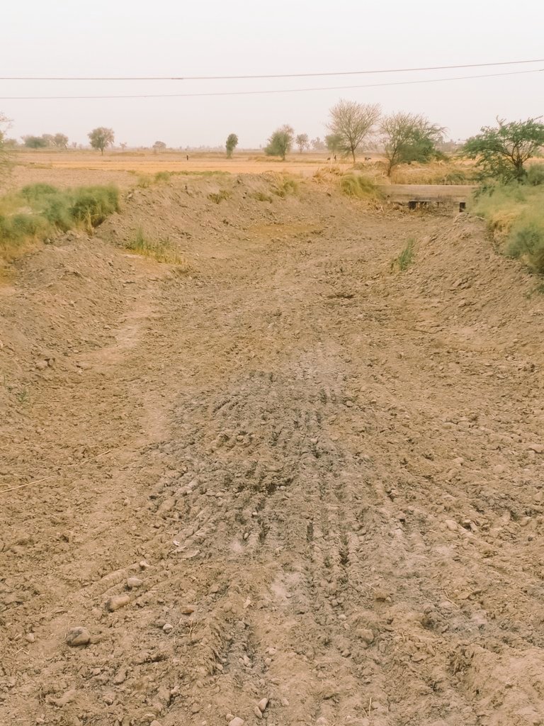 Ubedullahlangah's tweet photo. پياسي سنڌ کي پاڻي ڏيو
Sindhi people struggleing water.
#sindhneedswater
#SindhLivesMatter
Appels for
#HuminRights
#InternationalComunity
#UnitedNations
#POTUS https://t.co/H5GJ5Hj3Lh
