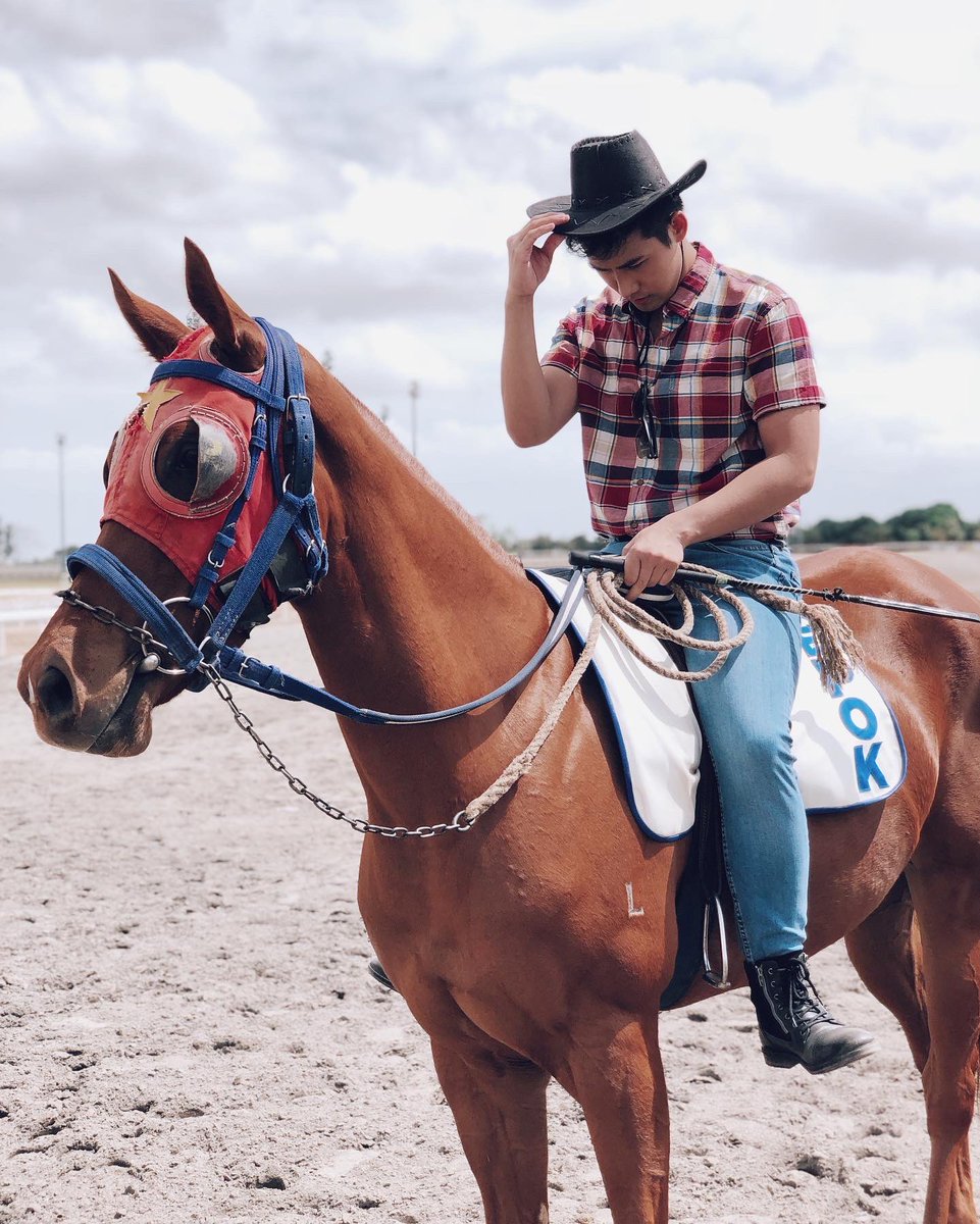 akosiKenChan's tweet photo. Advice from a HORSE 

• Take life’s hurdles in stride

• Loosen the reins

• Be free spirited

• Keep the burrs from under your saddle

• Carry your friends when they need it

• Keep stable

• Gallop to greatness 

🐎 https://t.co/IQP9duLVl3