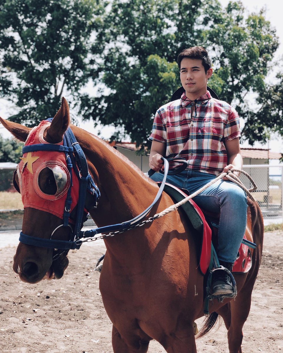 akosiKenChan's tweet photo. Advice from a HORSE 

• Take life’s hurdles in stride

• Loosen the reins

• Be free spirited

• Keep the burrs from under your saddle

• Carry your friends when they need it

• Keep stable

• Gallop to greatness 

🐎 https://t.co/IQP9duLVl3