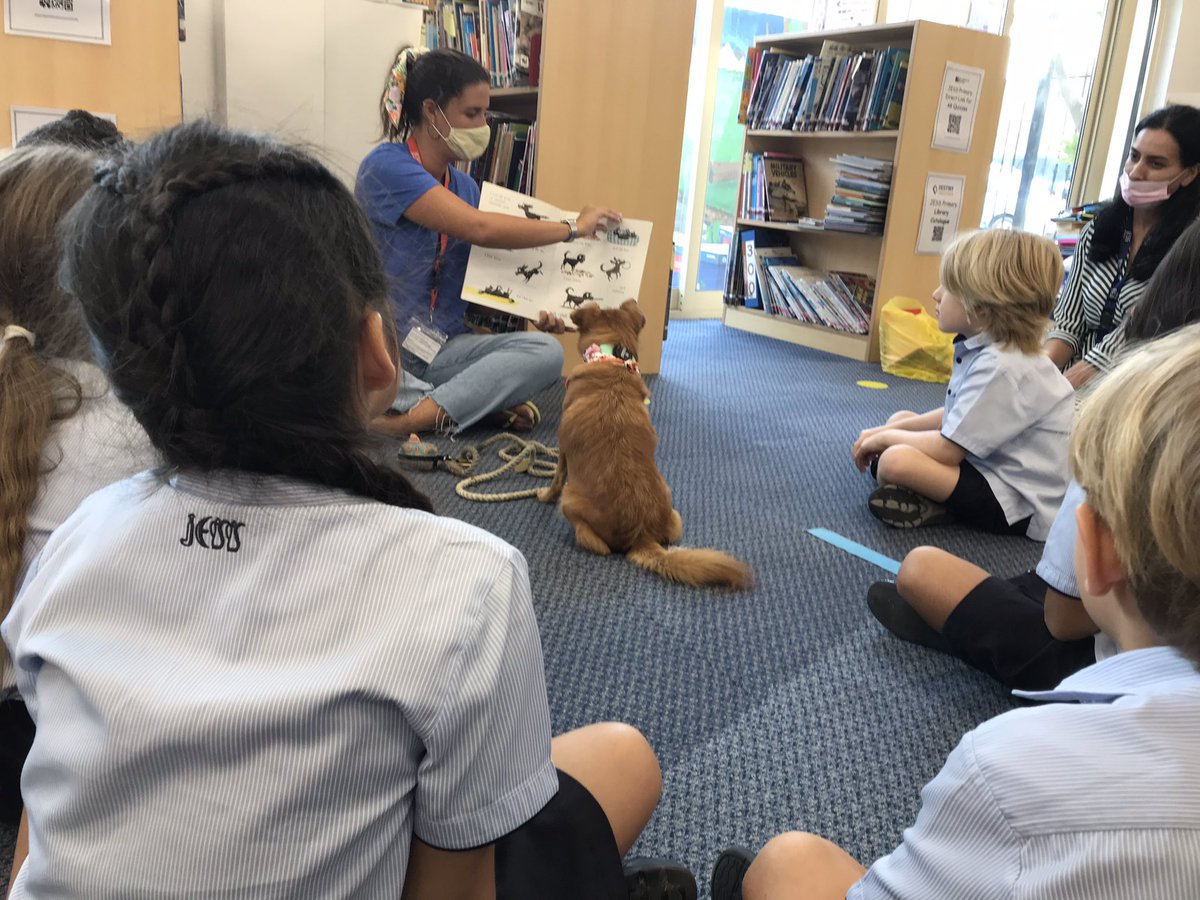 JESSPrimaryYR1's tweet photo. Nothing better than listening to a story with a dog companion. @readingdogsuae @PieCorbett @JESSDubai https://t.co/tZUYleLIQ7