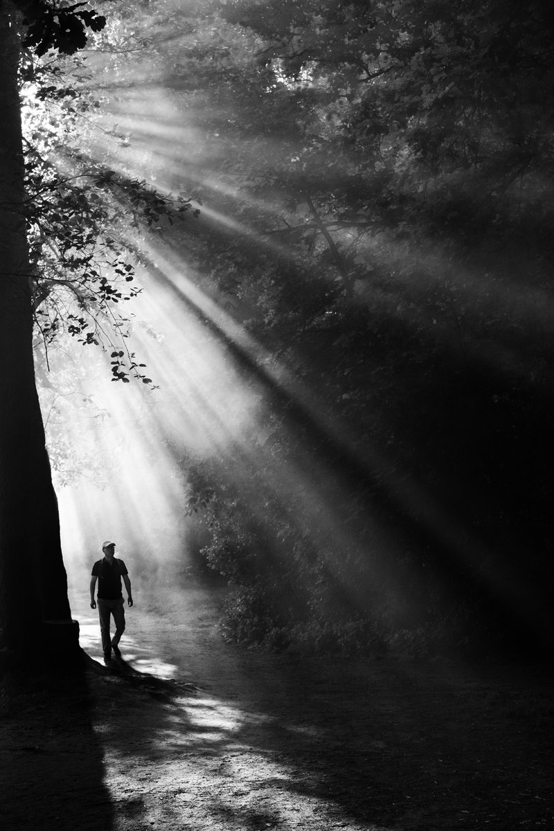 _storysofar_'s tweet photo. Gm ☀️

#streetphotography #fineartphotography #nftphotography https://t.co/jFywzv7ZcC