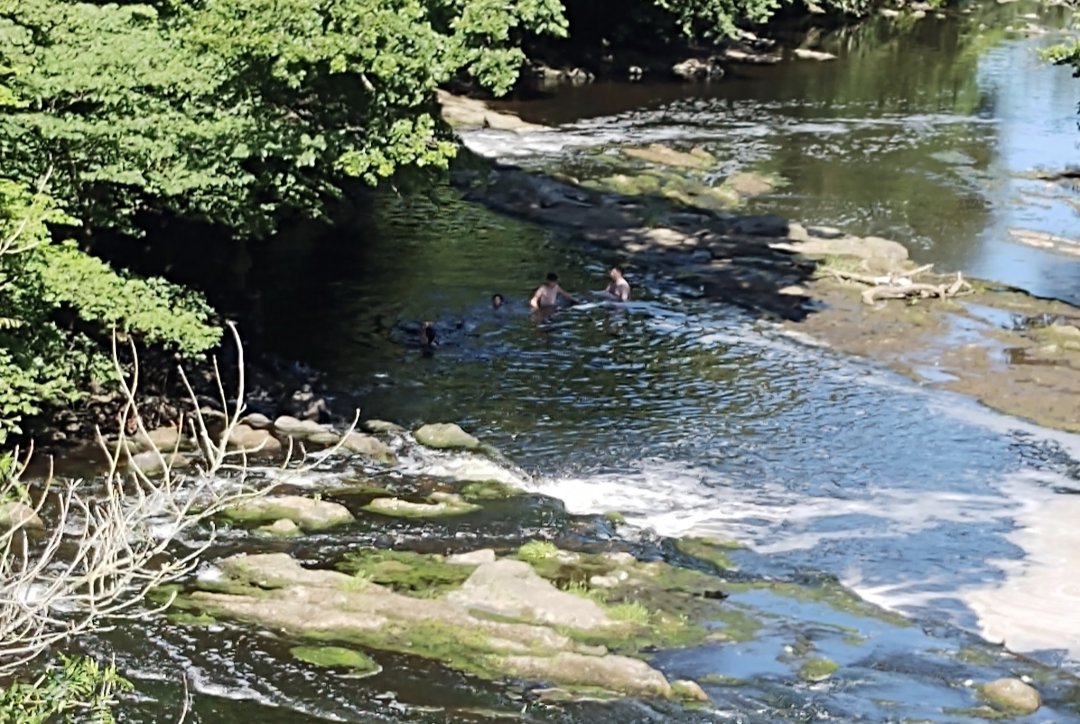 Action4Almond's tweet photo. Despite the Bathing Waters application being unsuccessful for 2021, you can still help support efforts to clean up the #RiverAlmond by taking photos in and near the river and tagging in the following hashtags: #RiverReclaim &amp; #AlmondSwim 
E: riveralmondactiongroup@gmail.com https://t.co/alTvsORtvW