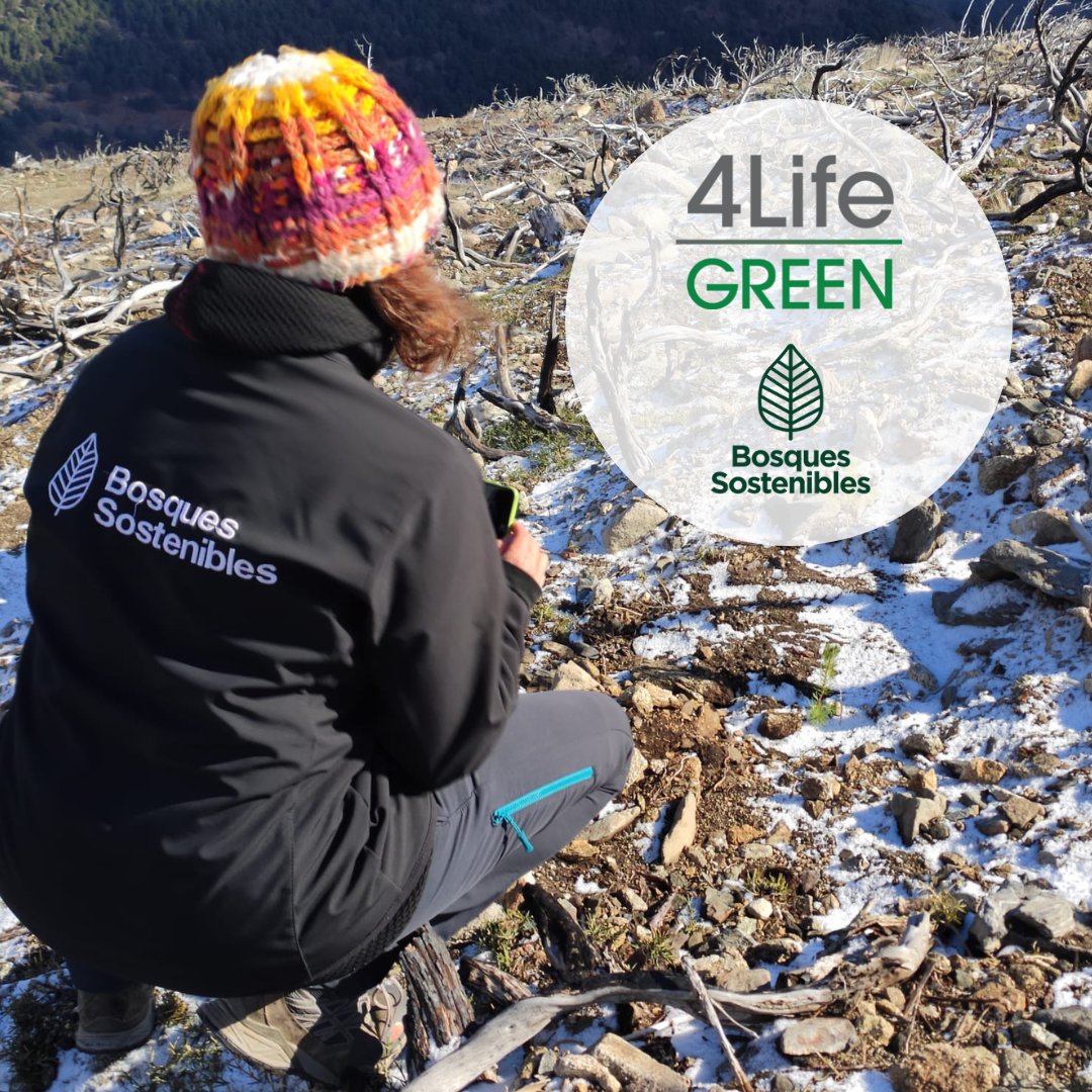 4Life_EU's tweet photo. 4Life Europe removes the CO2 generated by the Leadership Trip. The return flights plus all the participants generated a total of 58 tons of CO2, which will be compensated for by planting 351 trees in the Valley of Iruelas. 
📲 Read more here: https://t.co/oyilQC8cW2 https://t.co/J9HEeynMOs