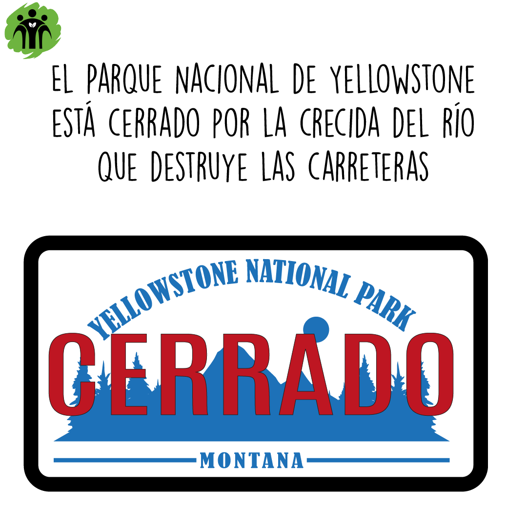 Don Bosco Green Alliance - ES tweet media