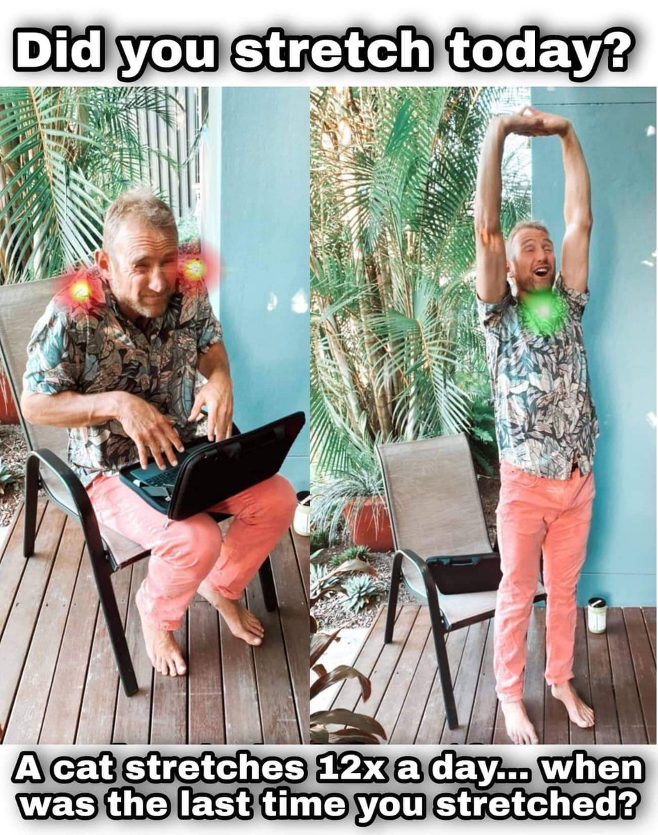 Did you stretch today?

A cat stretches 12x a day... when was the last time you stretched?