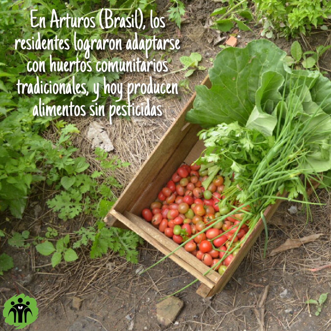 Don Bosco Green Alliance - ES tweet media