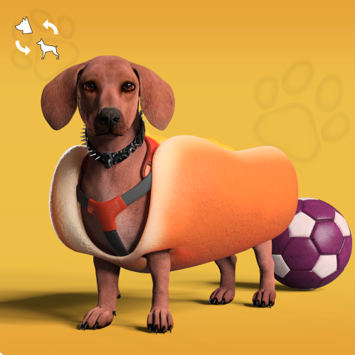 xzhybbs's tweet photo. @NFungiblePeople #NFPETS https://t.co/21UG1atTAP