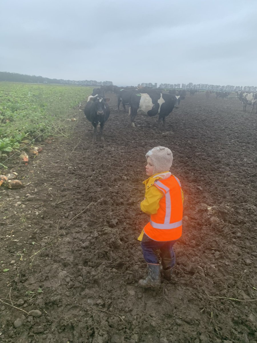 jbtafn's tweet photo. The supervisor joined me for the afternoon check to inform me of all my shortcomings. #fmgyfoty #forgotsnacks #hardtaskmaster https://t.co/vZOVso5DWM