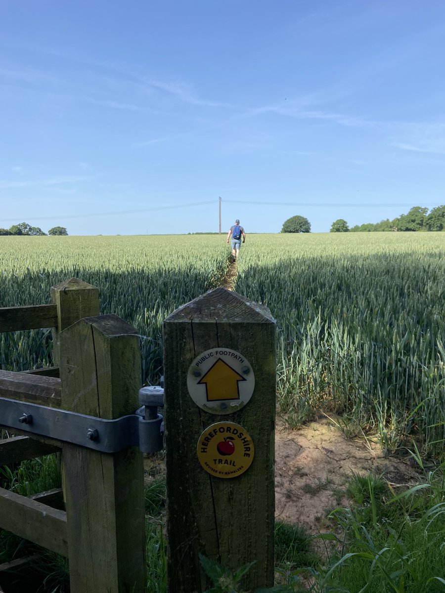 VisitHfds's tweet photo. #followtheapple 🍎 #154miles #inoneday https://t.co/OTAoEzHl0T
