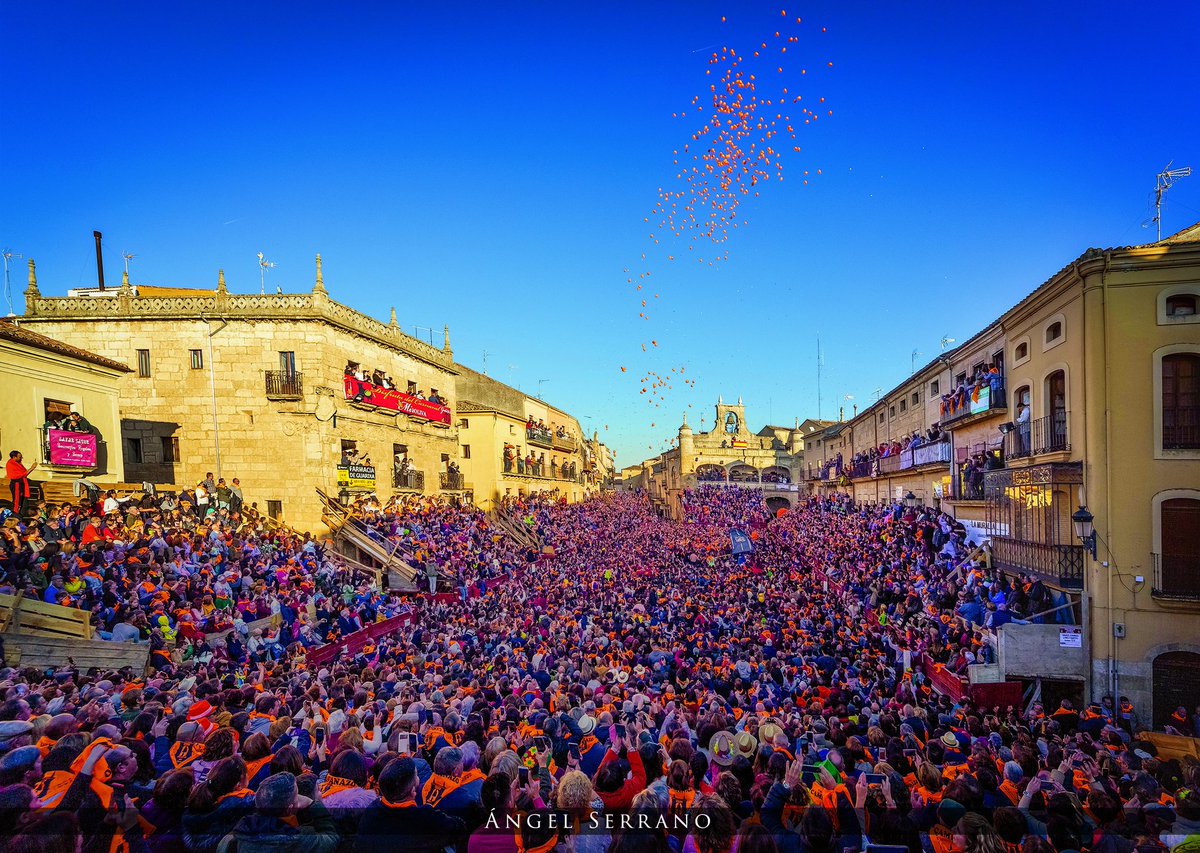 Carnavaldeltoro.es tweet media