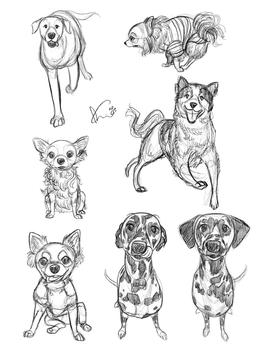 Doggo sketch 
