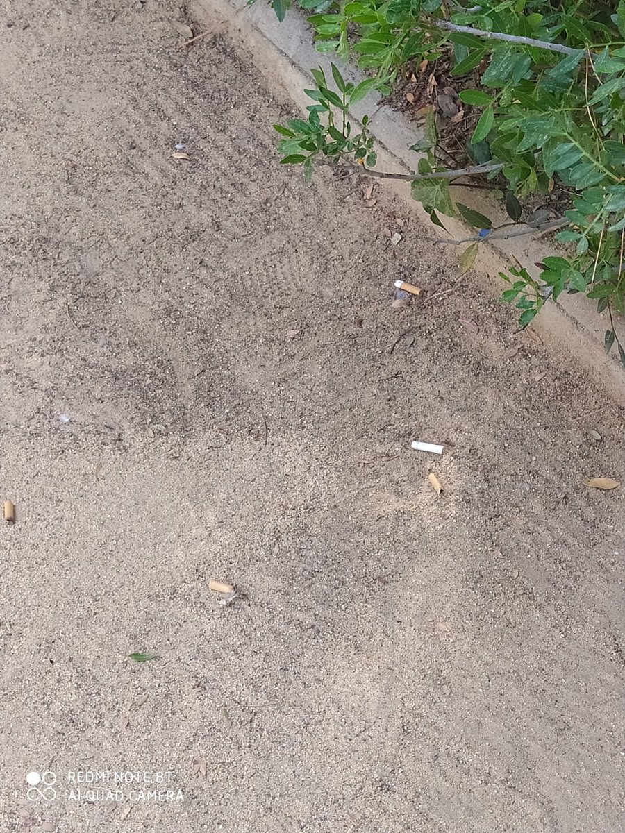 ramonginez's tweet photo. @bcn_ajuntament alguna idea para evitar colillas de cigarros en los parques de los más pequeños? https://t.co/7Ox1uN7lAB