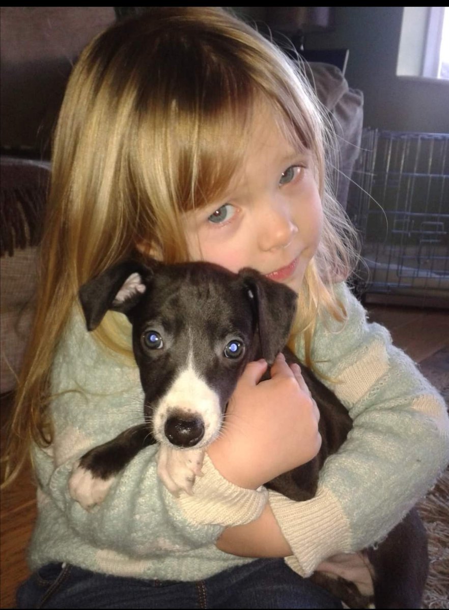 SineadThompson's tweet photo. @ChittendenNate Best friends from day one. Daughter is 12 now. Dreading the day this happens. Sorry for your loss and hope you're son is OK 💔 https://t.co/BYfASGWaeV