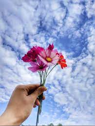 nigmorgan9's tweet photo. สดใส https://t.co/Jdx45MMINE