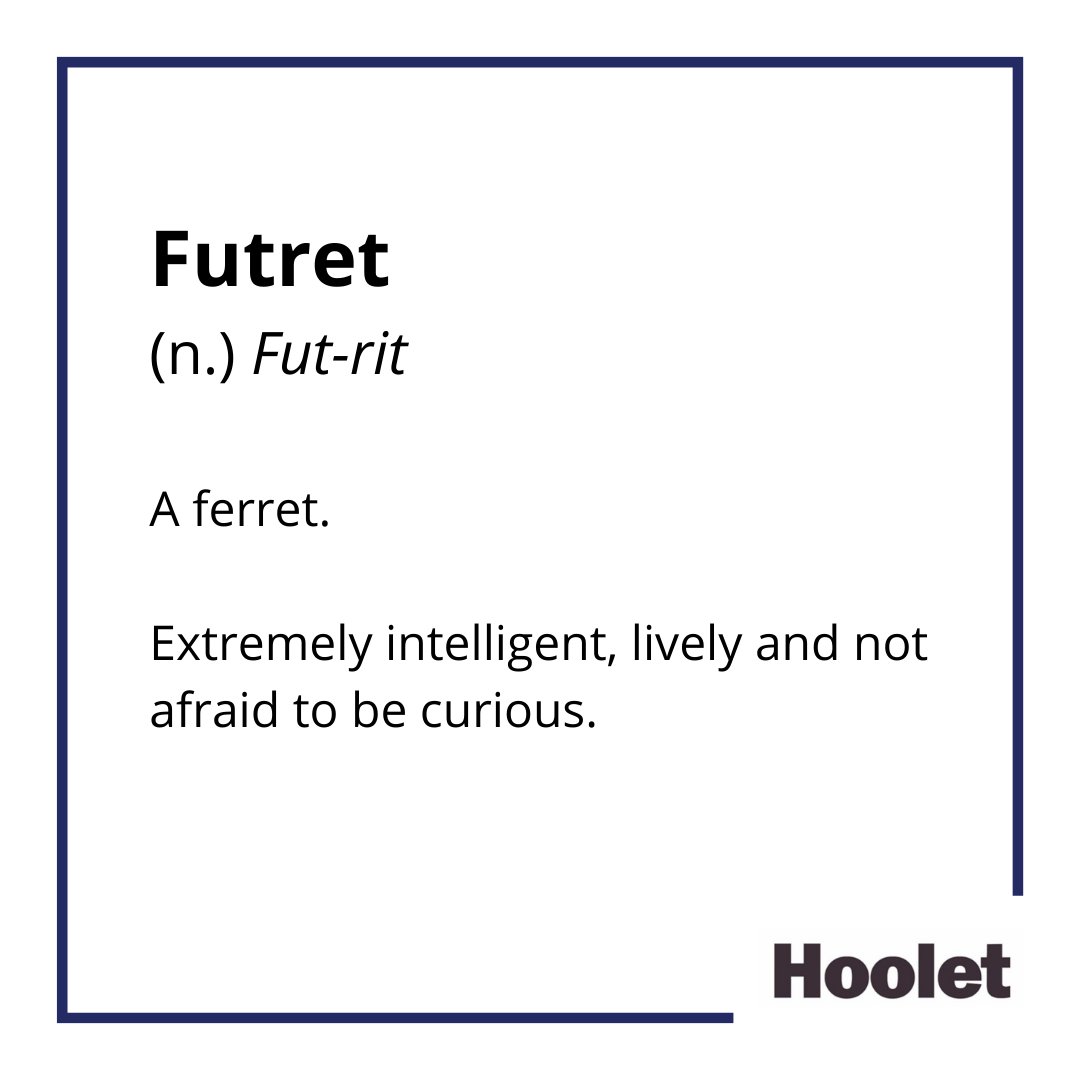 hoolet_hoots's tweet photo. Forever curious, we leave no stone unturned.
#ScotsWords #HooletHoots 🦉 https://t.co/3qrx0NNVCw