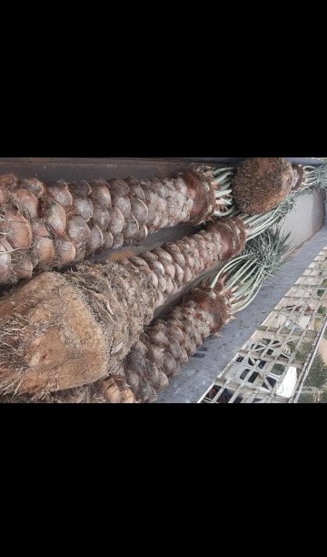 Kk Kk (@kkkk30853831) on Twitter photo 