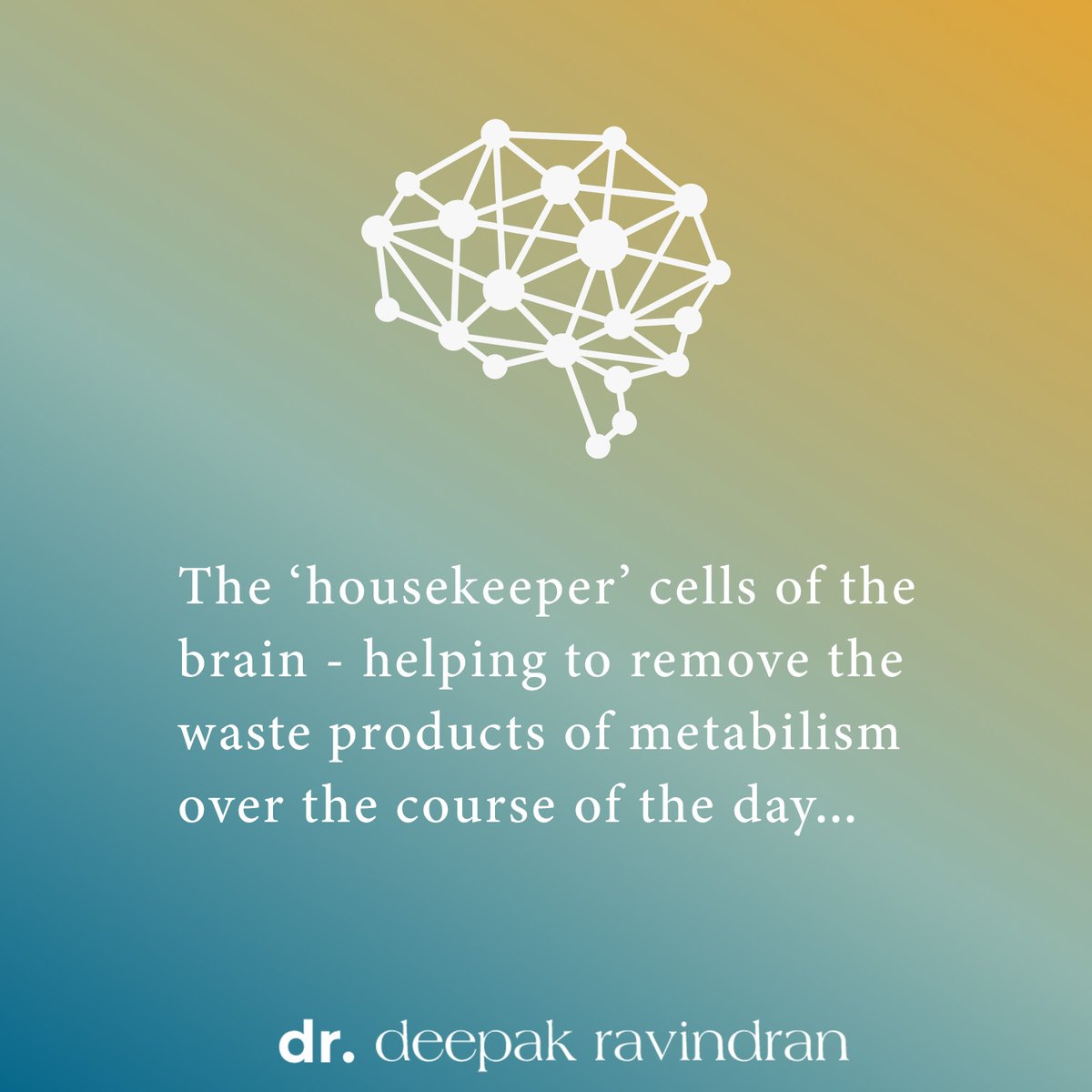 DeepakRavindra5's tweet photo. We all have a #lymphatic system - removing waste products that build up in various tissues of our body. But did you know our brain has a lymphatic system of Glial cells known as the #Glymphatic #System?

Here are some #facts abut about the system

#waste #pain #painexpert #sleep https://t.co/8bsRVXY12R