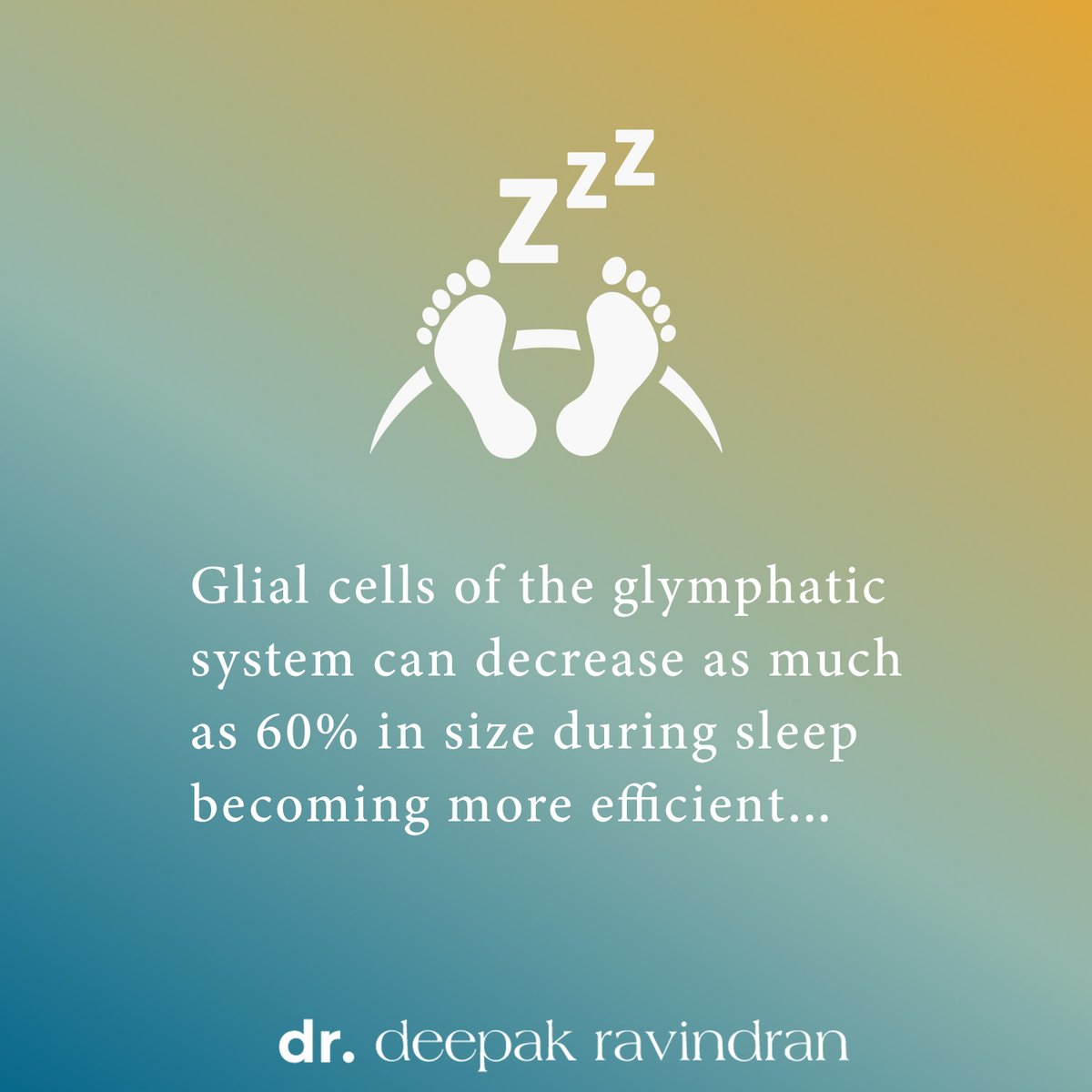 DeepakRavindra5's tweet photo. We all have a #lymphatic system - removing waste products that build up in various tissues of our body. But did you know our brain has a lymphatic system of Glial cells known as the #Glymphatic #System?

Here are some #facts abut about the system

#waste #pain #painexpert #sleep https://t.co/8bsRVXY12R