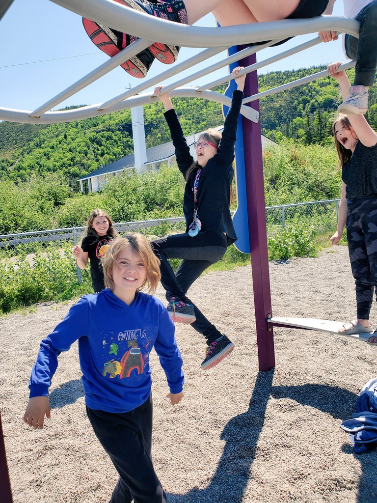 MsBrooksNL tweet media