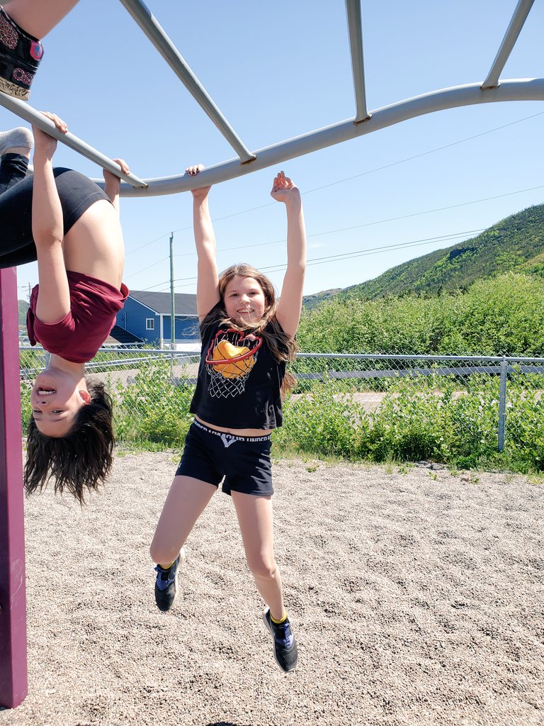 MsBrooksNL tweet media