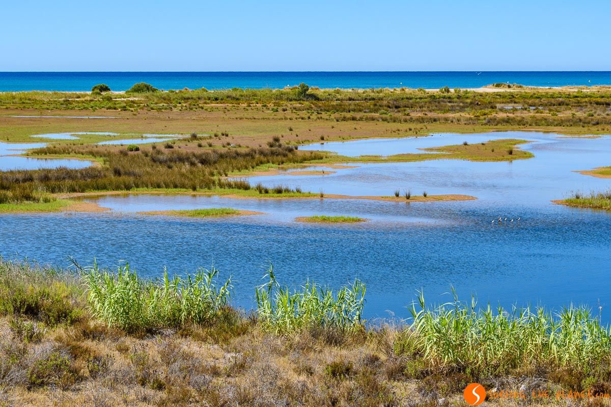 @devnetsecops @rrabagast @LilBluePenguin @LeonSimons8 @sylvaindarwish Not only the airport. Right next to it, in El Prat de Llobregat there is a river delta and a highly sensitive natural area, which includes a SPA for bird protection under the EU Directives.