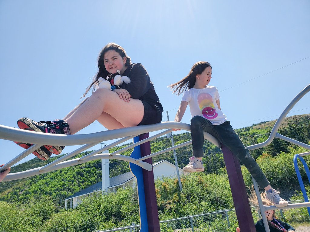 MsBrooksNL tweet media