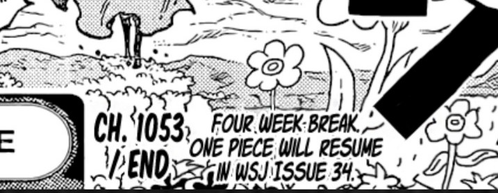 TheLuffyGang's tweet photo. This is what hurts more than a break up #ONEPIECE1053 https://t.co/QkcDkL3YMA