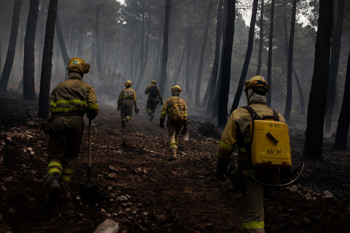 Los bomberos forestales, los pocos que hay, se están dejando la piel en el #IFSierraDeLaCulebra, ante un operativo que no está ni al 50%, hay compañeros que están en el paro esperando ser contratados con un rabia tremenda de no poder hacer nada.
