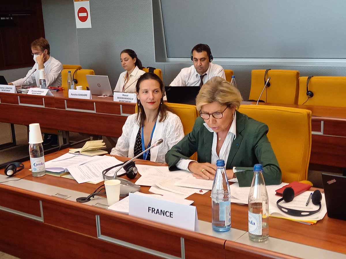 RepFranceCdE's tweet photo. Au Comité des Parties à la Convention anti-traite @CoE_Trafficking, la Secrétaire générale de la #Miprof @emoironbraud présente les actions mises en œuvre en 🇨🇵 pour renforcer la lutte c. l'exploitation des femmes et des mineur(e)s, notamment fuyant l'🇺🇦.
#EuropequiProtège https://t.co/1mn7ZV1RDn