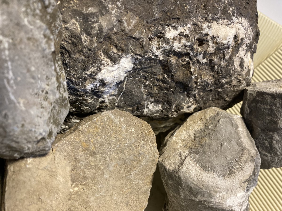 Meetings in conference rooms can be productive, partner meetings in quarries are always exciting! Rocks like the visible one near the town of #Eschweiler could one day provide Europe's heat supply - local, sustainable, affordable - #DGE deep geothermal energy.