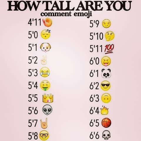 MNobody720's tweet image. 🐶