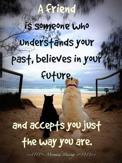 MNobody720's tweet image. I love ❤️ the ones I do have in this life so so much!! You crazy asses know who you are !!!