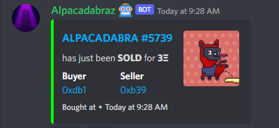 ALPACADABRAZ's tweet photo. Good Morning Alpaca Fam!☀

Congratulations on the purchase! https://t.co/6z8T0xnRdb
