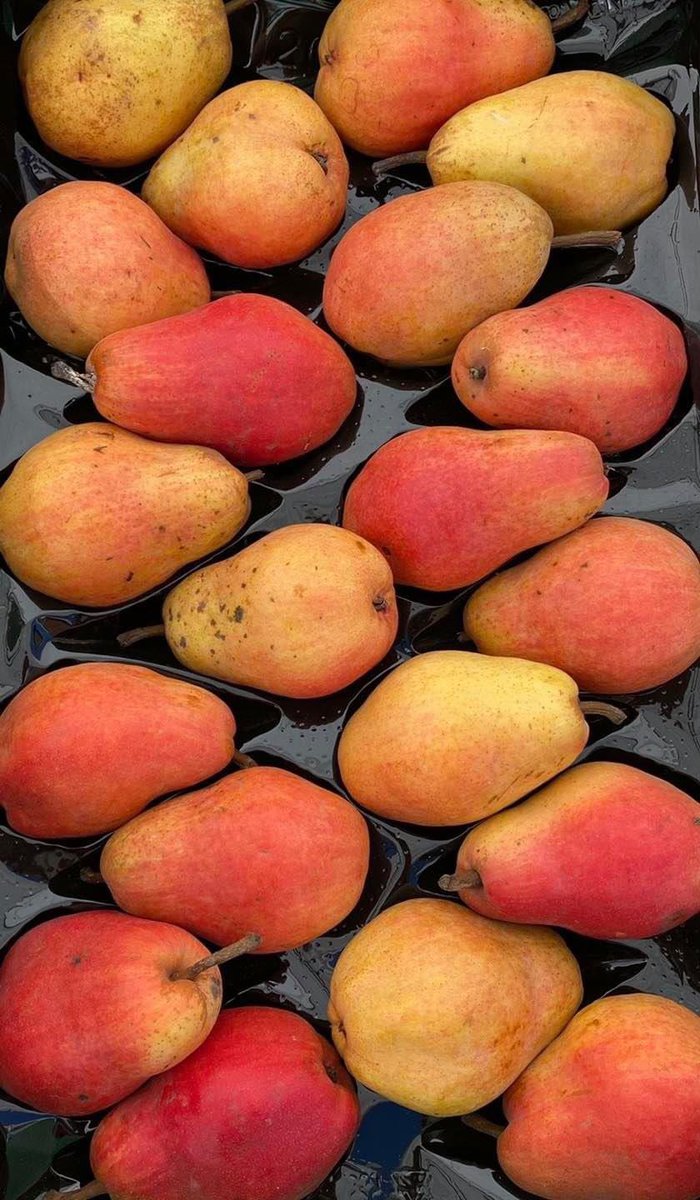 ConcelloCurtis's tweet photo. 📣Mañá disfruta do sábado na feira de Teixeiro! 

🍅Achégate mañá á feira de teixeiro onde atoparás os mellores produtos locais da comarca, así como téxtil, ferraxería, pranta...

👉Aproveita e disfruta do comercio e hostalería local! 

#concellodecurtis #feira https://t.co/BzFnjQ5GBp