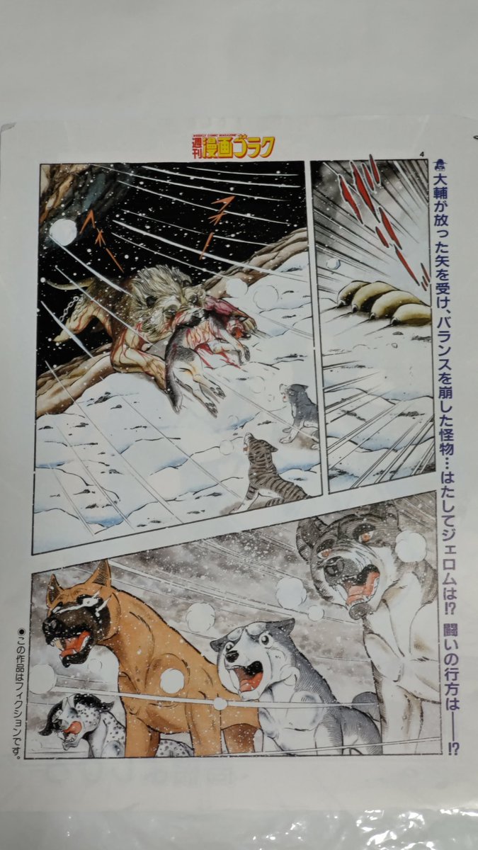 ゴラクの連載中、銀牙伝説WEEDの 巻頭カラーですね〜🤗 ついに